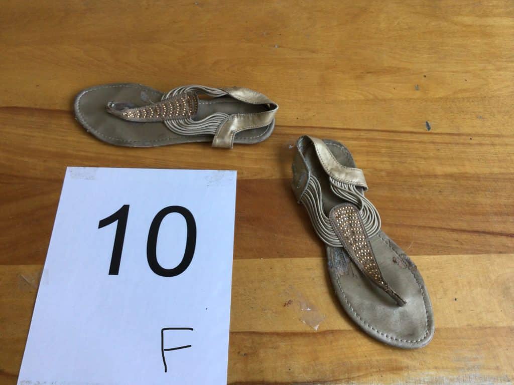 Projet Mille pattes 214 IMG 0691