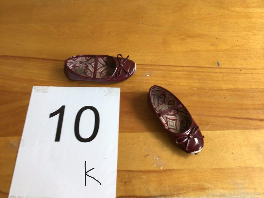 Projet Mille pattes 11 IMG 0695