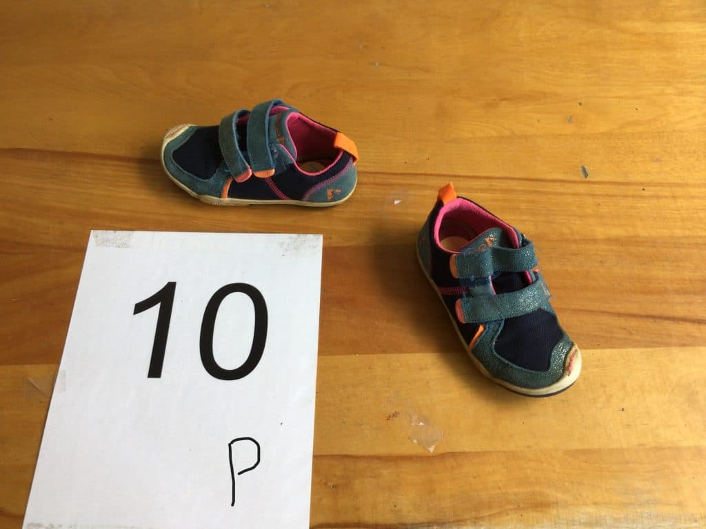 Projet Mille pattes 15 IMG 0704