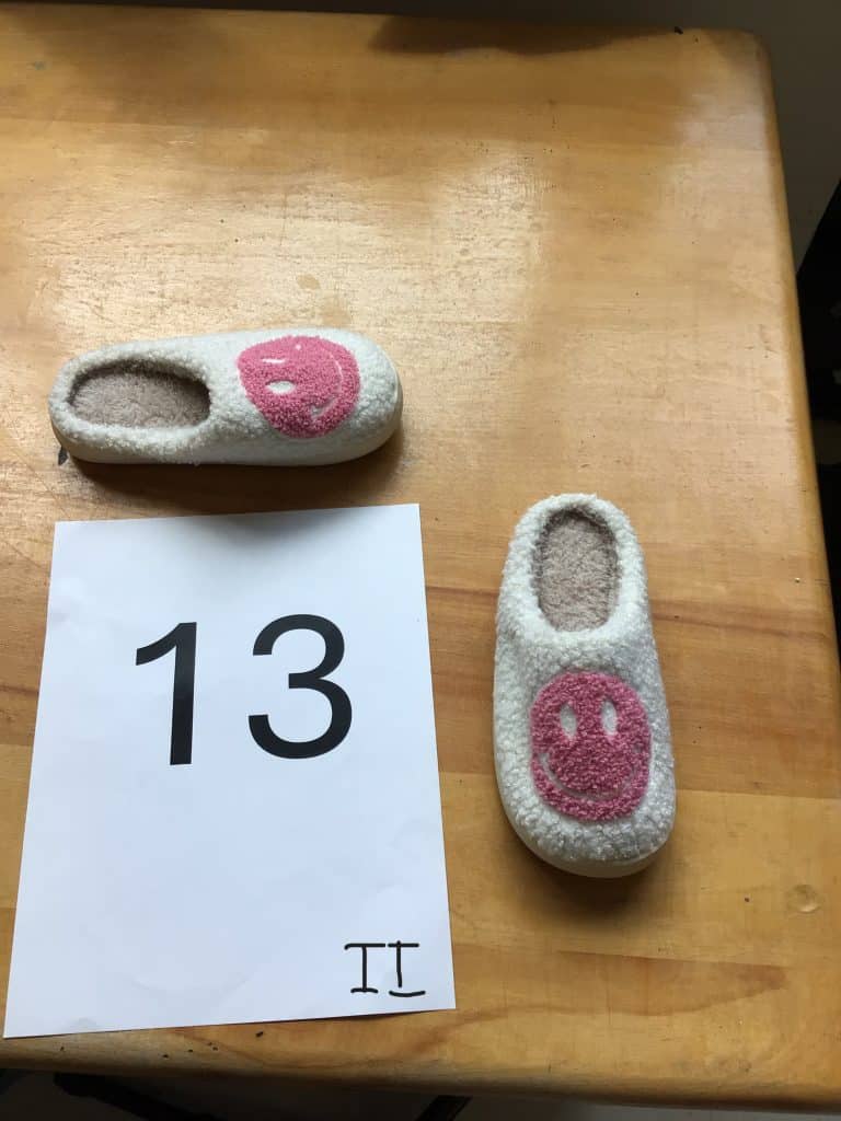 Projet Mille pattes 153 IMG 1093